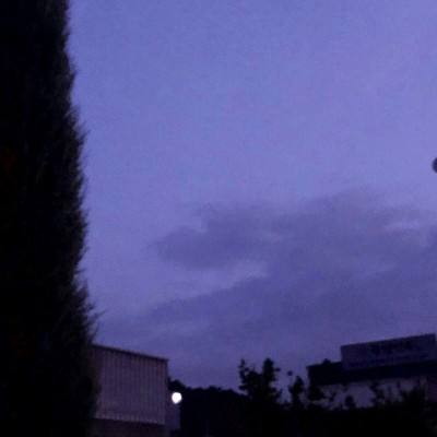 武林英雄传国际版下载