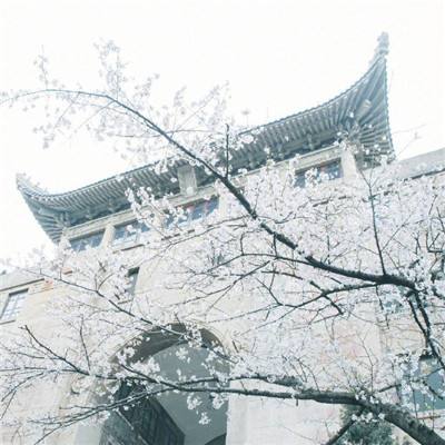 山鬼传官方版下载