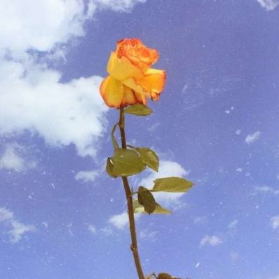 新凡人修仙传手游官方下载